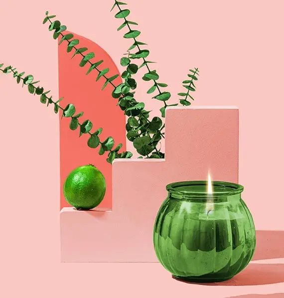 Eco-friendly practices